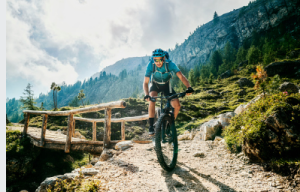 Pushbikes mountain bikes NZ