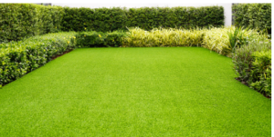Just Quality artificial grass Adelaide