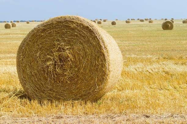 baler twine