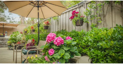 outdoor umbrella
