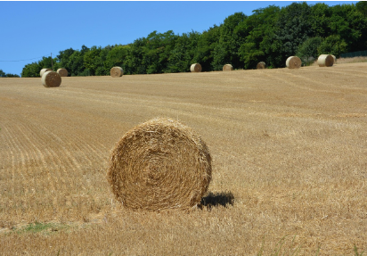 baler twine