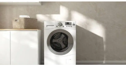 Fisher Paykel washing machine