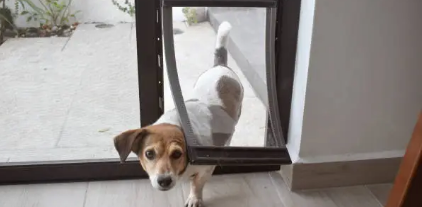 pet doors Adelaide
