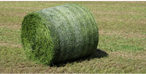 bale wrap